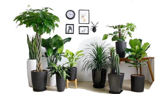 專業(yè)服務(wù)團(tuán)隊(duì)